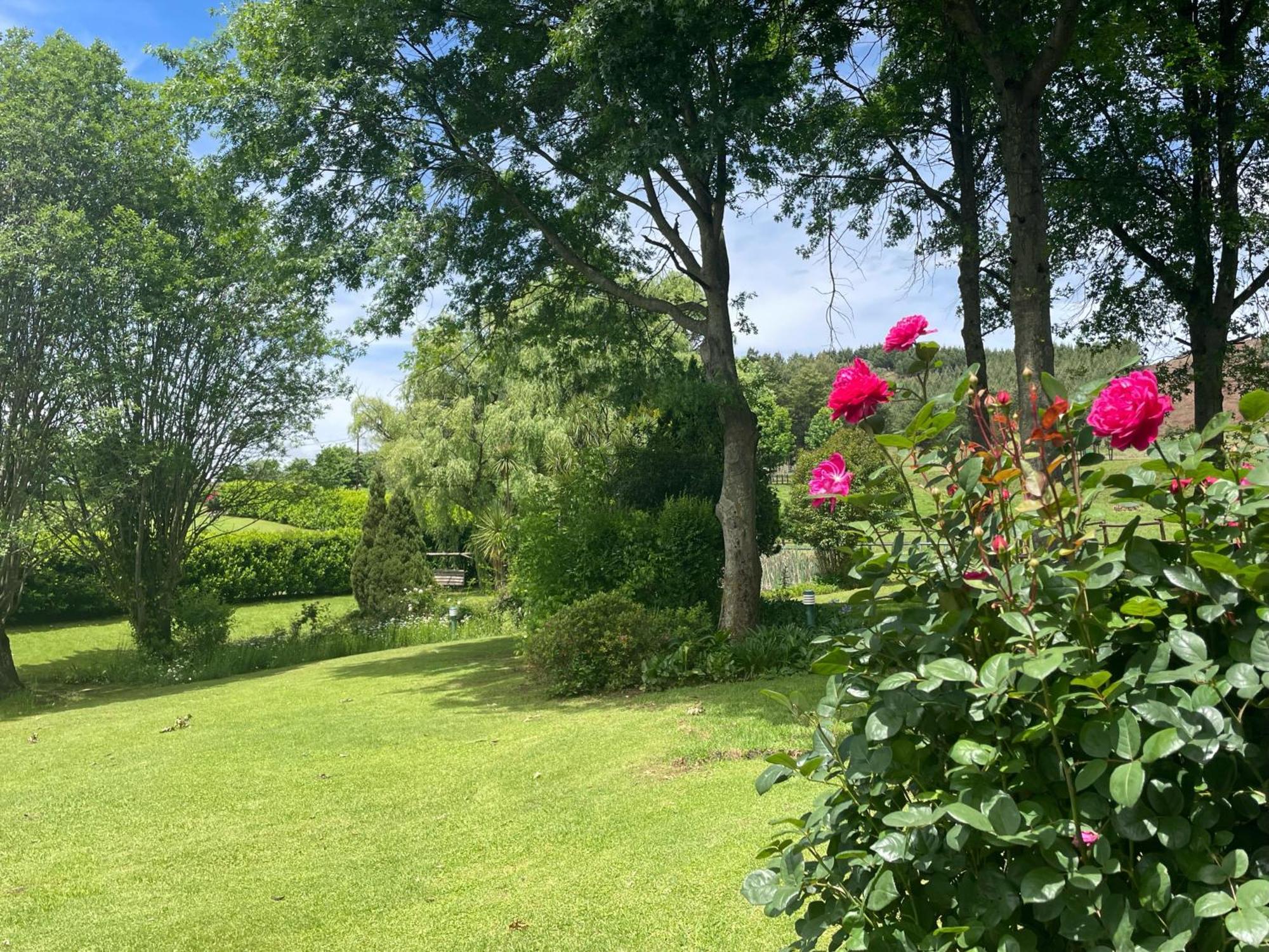 Willowbrooke Cottage Хаймвил Екстериор снимка